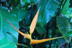 costarica3004