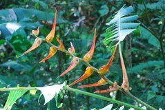 costarica3007
