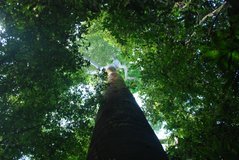costarica3013