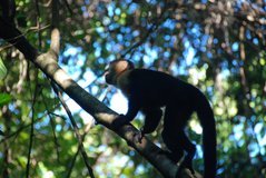 costarica3030