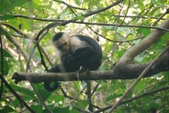 costarica3033