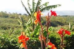 costarica3050