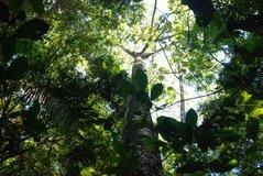 costarica3056