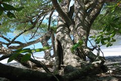 costarica3072