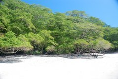 costarica3089