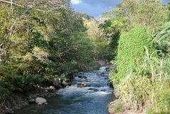 costarica3504