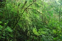 costarica3535