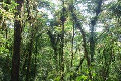 costarica3537