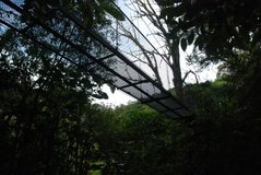 costarica3542