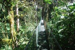 costarica3545