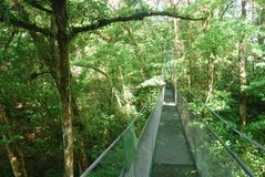 costarica3550