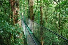 costarica3553