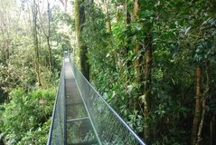 costarica3555