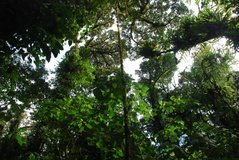 costarica3567