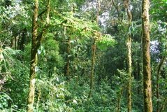 costarica3568