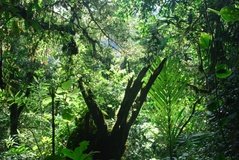 costarica3575