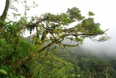 costarica3597