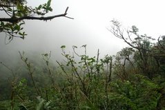 costarica3598