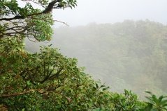 costarica3599