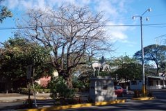 costarica4002