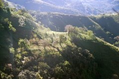 costarica4018