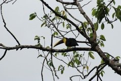 costarica6128