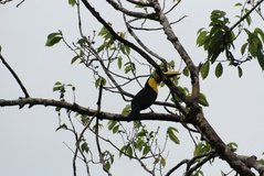 costarica6130