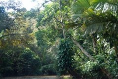 costarica6248