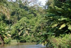 costarica6255