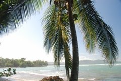 costarica7009