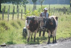 costarica7016