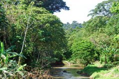 costarica8001