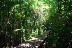costarica8010