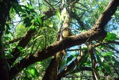 costarica8030