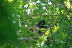 costarica8042