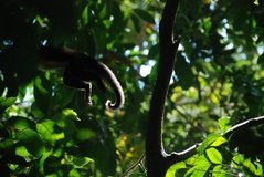 costarica8058