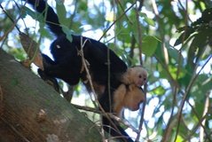 costarica8060