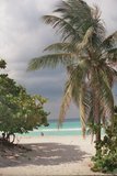 cuba0501