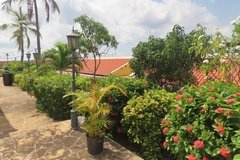 curacao1211