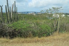 curacao1214