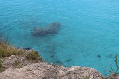 curacao1231