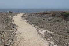curacao1238