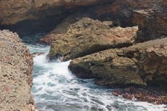 curacao1241