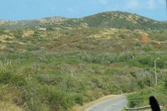 curacao1282
