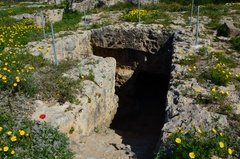 cyprus2036