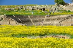 cyprus2082
