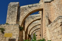cyprus8075