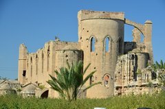 cyprus8080