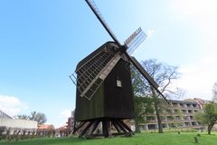 denemarken3638