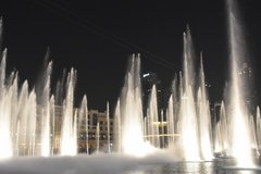 dubai2239